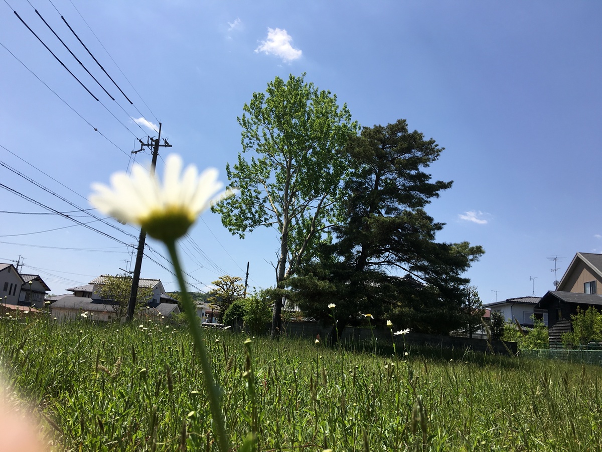 犬を飼っている人は実際の年齢よりも10歳若い！？